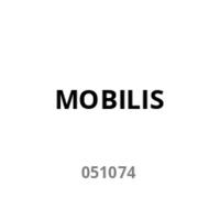 Mobilis ACTIV Pack Case for 2in1 360 Lenovo Thinkpad X13 Notebook (051074)