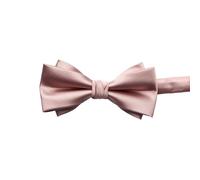 Mocoocouture Fliege Männer Hochzeitskrawatte Einheitliche Formelle Krawatte Verstellbare Fliege Business Event Herrenanzug Krawatte Krawatte