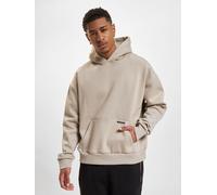 Kapuzensweatshirt DROPSIZE "Dropsize Herren Super Heavy Blank Hoodie", Herren, Gr. S, stone, 80% Baumwolle, 20% Polyester, unifarben, Sweatshirts (17892435-S) stone