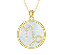 Molioaki Sternzeichen Kette Silber 925 Zwölf Sternzeichen Halskette mit Anhänger 45+5 CM Länge Kette Damen mit Zirkonia Silberkette Geschenke für Frauen Valentinstag Geburtstags Muttertag-MJ