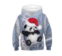 Morbuy Kinder Hoodie Lion Wolf Mode Tier Gedruckt Jungen Mädchen Kapuzenpullover, Unisex Casual Warm Langarm Kapuzen Sweatshirt Lose Pullover mit Tasche (M (135-140cm),Weihnachten Panda)