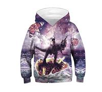 Morbuy Kinder Weihnachten Hoodie 3D Gedruckt Kapuzenpullover, Jungen und Mädchen Casual Langarm Warm Sweatshirt mit Kapuze mit Taschen für 6-14 Jahre (M (135-140cm),Dinosaurier)
