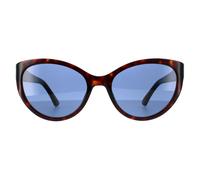 Moschino Cat Eye Frauen dunkle Havanna blau Sonnenbrille Einheitsgröße