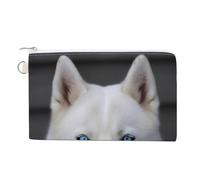 Münzgeldbörse aus Segeltuch, Halloween, Kürbis, kleine Geldbörsen für Damen, schlanke Geldbörse mit Reißverschluss, Schlüsselanhänger, niedliches Kleingeld, kleine Reißverschlusstasche, Blue Eyed