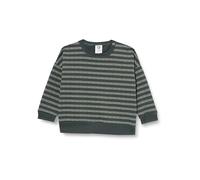 Müsli by Green Cotton Baby - Jungen Stripe Sweatshirt Pullover Sweater, Balance Green/Poetry Green, 56 EU