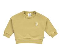 Müsli by Green Cotton Jungen Sweatshirt Baby Pullover Sweater, Moss, 62 EU