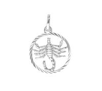 My Gold Damen Herren Kinder Anhänger Sternzeichen Skorpion Sterlingsilber 925 ECHTES Silber (Ohne Kette) Rund Ø 12mm Silberanhänger Gavno A-07068-S912-Sko