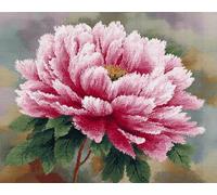 N.LANSHAN 11CT Diy Stickvorlagen Kreuzstich Rosa Pfingstrose Kreuzstich Stickpackung Vorgedruckt, Stickbild Sticken Stickset Mit Anleitung Geschenk Für 60x80cm