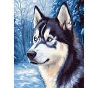 N.LANSHAN 11CT Hund Tier Diy Sticken Set Erwachsene Husky Im Schnee Stickvorlagen Wasserlöslich Kreuzstich Stickpackung Sticken Stickbild Set Für Erwachsene Anfänger 30x40cm