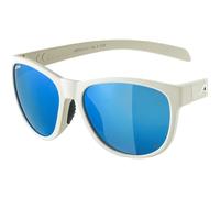 Nacan II Pol Sonnenbrille, grau
