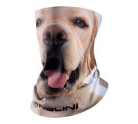 NALINI Multifunktionstuch New, für Herren, Fahrradbekleidung braun