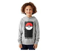 NAME IT Jungen-Pullover mit Kapuze & Pokemon Print Grey Melange-122-128