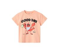 NAME IT Nmmfish Nreg Ss Top Box