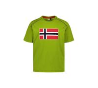 NAPAPIJRI T-Shirt Herren Regular Fit Kurzarm Rundhals Baumwolle grün, L