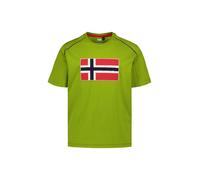 NAPAPIJRI T-Shirt Herren Regular Fit Kurzarm Rundhals Baumwolle grün, XL