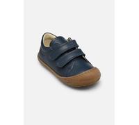 Naturino - Cocoon Low VL - Blau - Sneaker - Größe 24
