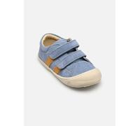 Naturino - Macks Low VL - blau - Sneaker - Größe 28