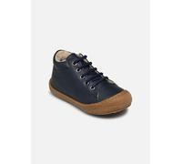 Naturino - Schnürschuhe Cocoon - Blau - Größe 23