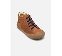 Naturino - Schnürschuhe Cocoon - braun - Größe 26