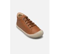 Naturino - Schnürschuhe Cocoon - Braun - Größe 29