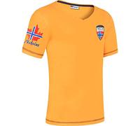 Nebulus Herren T-Shirt Joris, Shirt, T-Shirt, V-Ausschnitt, orange - XL