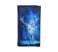Nemesis Now Anne Stokes Fantasy Forest Elven Queen und Hirsch geprägte Geldbörse, Blau, 18,5 cm