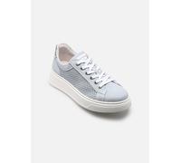 NeroGiardini - E615273D - Blau - Sneaker - Größe 36