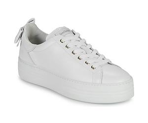 NeroGiardini Sneaker E306521D-707 in Weiss 36