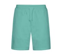 TIGER SWEATSHORTS 3XL DUSTY MINT