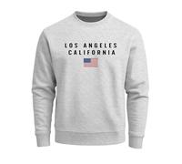 Neverless® Sweatshirt Herren Bedruckt Schriftzug California Los Angeles USA Amerika Flagge Rundhals-Pullover Grau 4XL