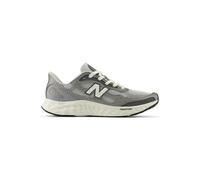 NEW BALANCE Herren Laufschuhe Fresh Foam Arishi v4 (MARISV41D) 45 ½ GREY MATTER (MARISTG4)