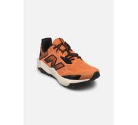 Laufschuh NEW BALANCE "DYNASOFT NITREL V6", Herren, Gr. 45, sizzle, Synthetik, Textil, Schuhe Laufschuh, Trailrunning-Schuhe (84201729-45) sizzle