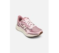 Laufschuh NEW BALANCE "ARISHI", Damen, Gr. 36,5, pink salt, Synthetik, Schuhe Laufschuh (95307901-36,5) pink salt