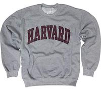 New York Fashion Police Harvard University Sweatshirt - Offiziell lizenzierter gewölbter Block-Rundhals, GRAU, Medium
