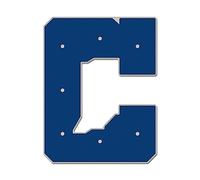 NFL Universal Schmuck Caps PIN Indianapolis Colts BOLD