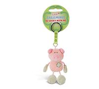 NICI 33687 33687-Schwein Beanbag Schlüsselanhänger Talismin 7 cm, rosa-grün