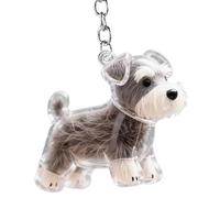Niedlicher Auto-Schlüsselanhänger | Katzen- und Hundehaar-Aufbewahrung, Schlüsselanhänger, niedlich, transparent, als Haar-Aufbewahrungsbehälter, Taschen-Charm-Ornament für Handy, Geldbörse, Rucksack