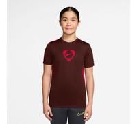 Nike Kinder T-Shirt Dri-FIT Academy+ IO7318-658 137-147 Mystic Dates/Bright Crimson