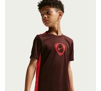 Nike Academy emyemy+ Dri-Fit Kinder Sweatshirt, rot US: L