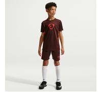 NIKE Academy+ Dri-FIT Fußball Trainingsshirt Kinder 658 - mystic dates/bright crimson L (147-158 cm)