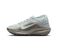 Nike ACG PEGASUS TRAIL GTX Trailschuhe Damen Light Silver/Light Silver-Light Army 41