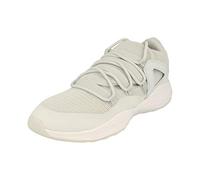 NIKE Air Jordan Formula 23 Low Herren Basketball Trainers 919724 Sneakers Schuhe (UK 8 US 9 EU 42.5, Pure Platinum 015)
