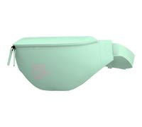 NIKE Kleintasche NK HERITAGE WAISTPACK - FA21 (DB0490) ONE SIZE MINT FOAM/MINT FOAM/SUMMIT WHITE
