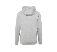 Nike Kapuzenpullover Dri-FIT Swoosh Dunkelgrau/Schwarz M