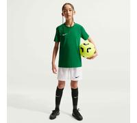 Nike Dri-FIT Park VIII Big Kid PINE GREEN/WHITE L