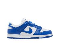 Nike Dunk Low Retro SP Kentucky