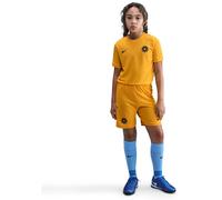 Nike Erling Haaland Academy Dri-Fit Kinder Sweatshirt, gold US: S