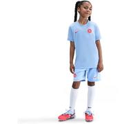 Nike Erling Haaland Academy Dri-Fit Kinder Sweatshirt, weiß US: M