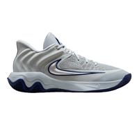 Nike Giannis Immortality 4 Grau/Navy 44 1/2