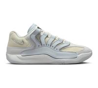 NIKE Herren Basketballschuhe KD18 (HV1992) 41 PURE PLATINUM/WOLF GREY-SUMMIT WHIT